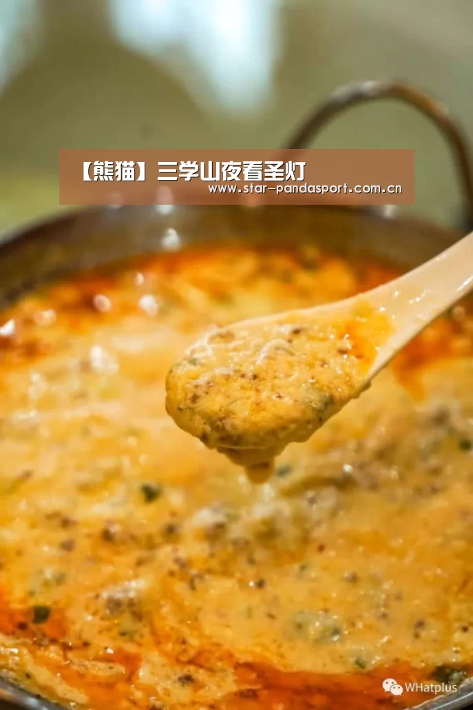 【熊猫】三学山夜看圣灯
