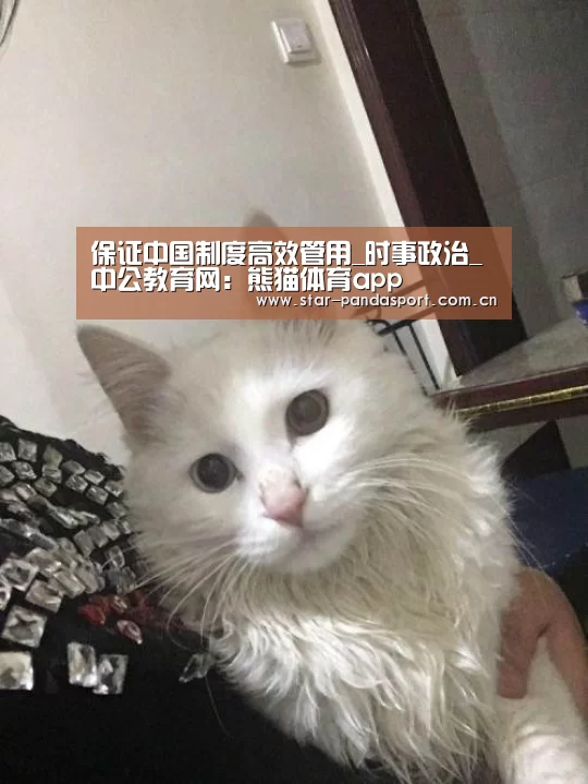 保证中国制度高效管用_时事政治_中公教育网:熊猫体育app