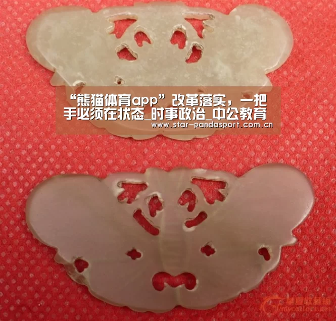 “熊猫体育app”改革落实,一把手必须在状态_时事政治_中公教育网