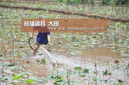 熊猫体育官网