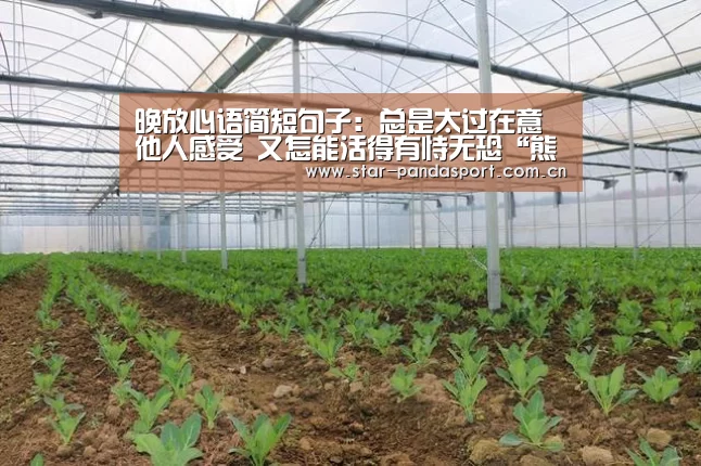 晚放心语简短句子:总是太过在意他人感受 又怎能活得有恃无恐“熊猫体育”(图3) 熊猫体育