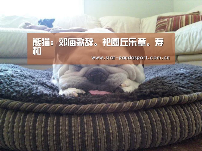 熊猫