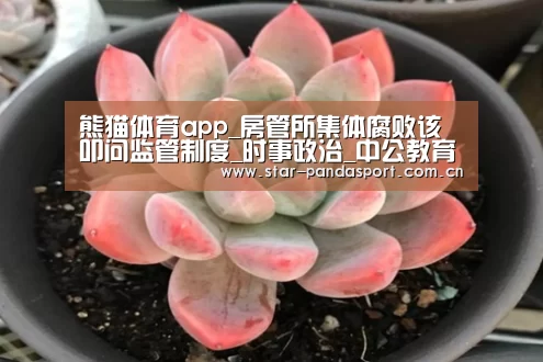 熊猫体育app_房管所集体腐败该叩问监管制度_时事政治_中公教育网(图3) 熊猫体育app