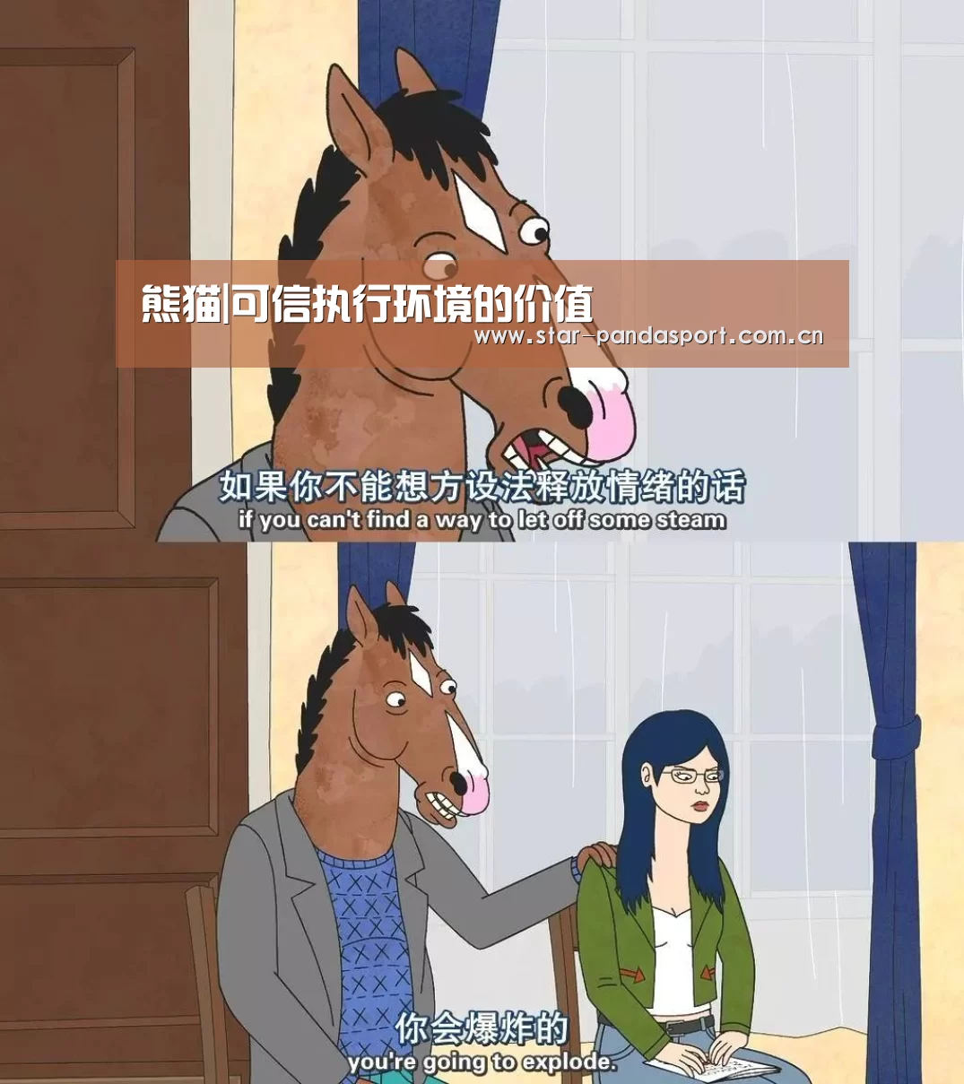 熊猫|可信执行环境的价值