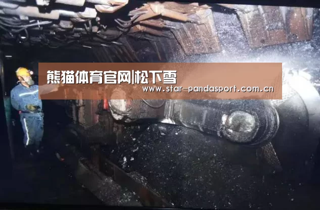 熊猫体育官网|松下雪(图2) 熊猫体育