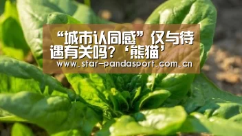 “城市认同感”仅与待遇有关吗?‘熊猫’(图3) 熊猫体育app