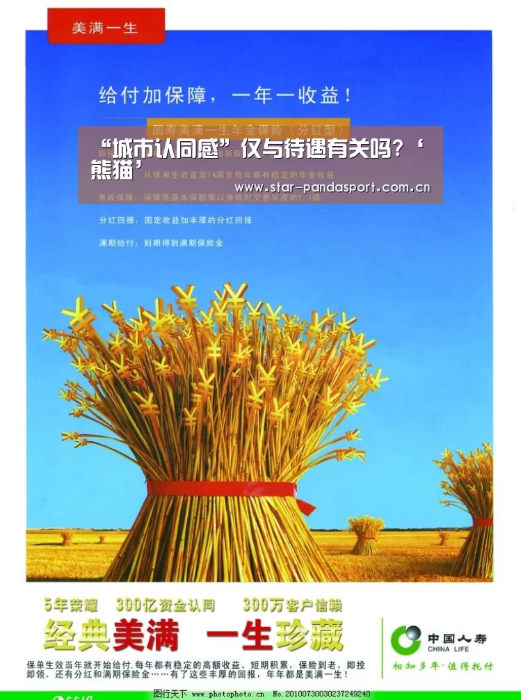 “城市认同感”仅与待遇有关吗?‘熊猫’(图2) 熊猫体育官网
