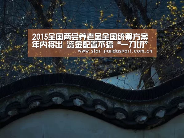 2015全国两会养老金全国统筹方案年内将出 资金配置不搞“一刀切”‘熊猫体育官网’(图4) 熊猫体育app