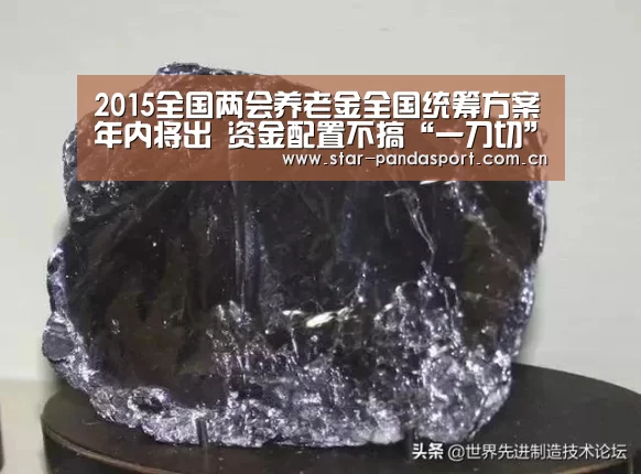 2015全国两会养老金全国统筹方案年内将出 资金配置不搞“一刀切”‘熊猫体育官网’(图2) 熊猫体育官网